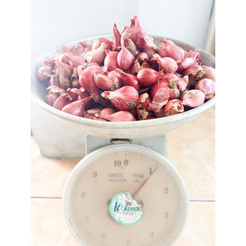 

Bawang Merah Besar Premium 1 Kg Kering