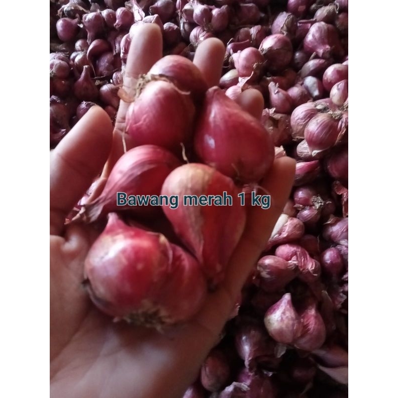 

Bawang marah kering segar 1 kg