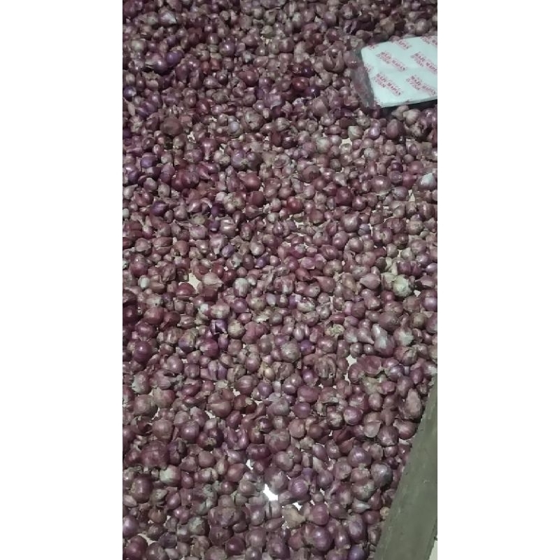 

BAWANG MERAH nganjuk 1kg baca deskripsi