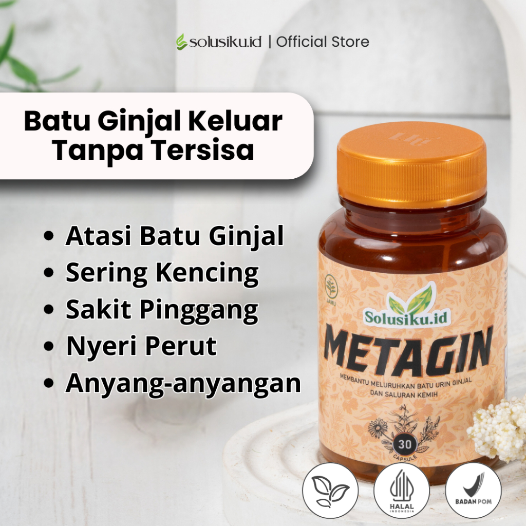 METAGIN Herbal Original BPOM Kapsul Penghancur Batu Ginjal Susah Kencing