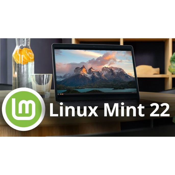 Linux Mint 22 FLASHDISK USB BOOTABLE INSTALLER