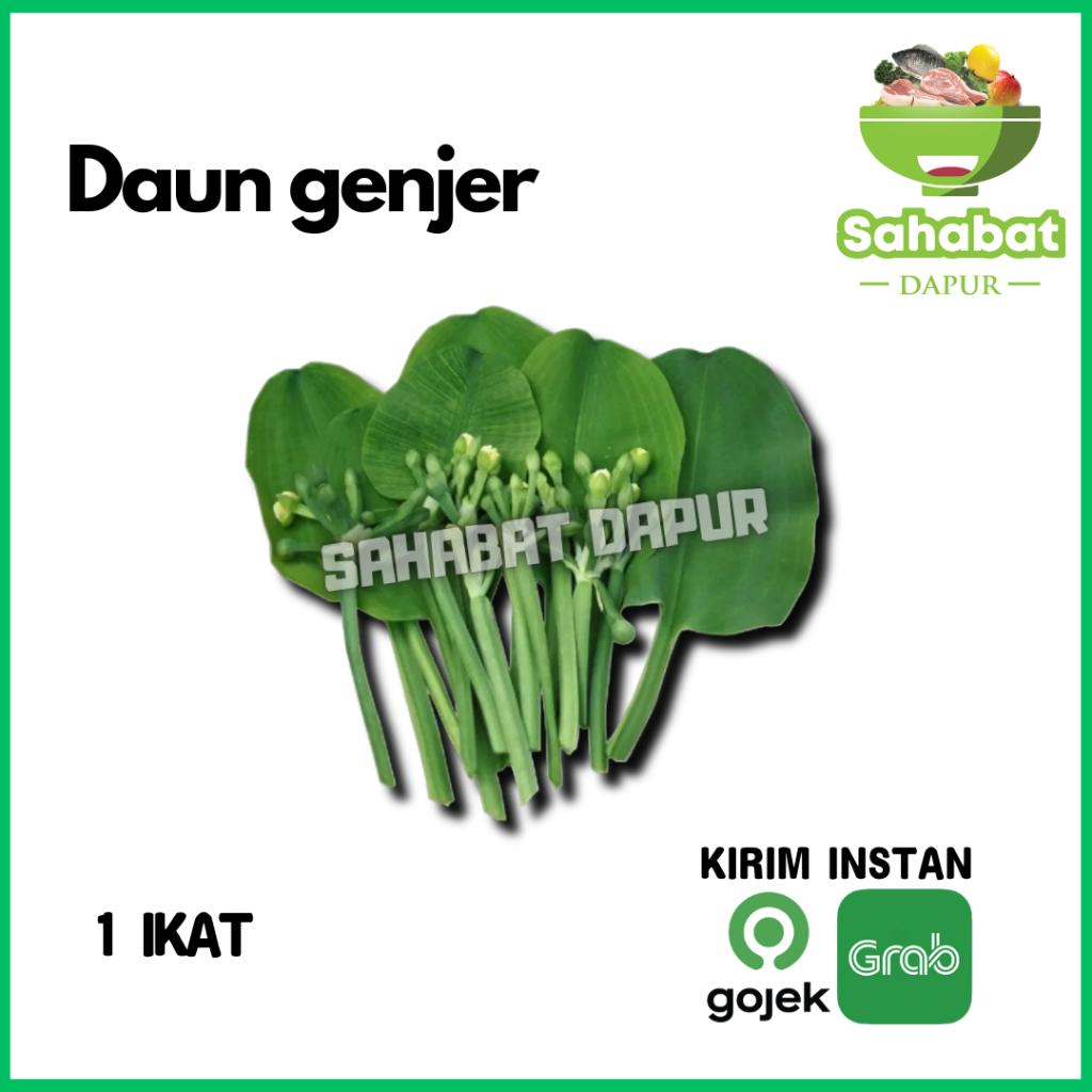 

Daun Genjer Segar 1 Ikat - Sahabatdapur