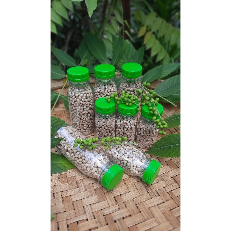 

BUAH MELUR KERING (isi lebih dari 1000 butir)