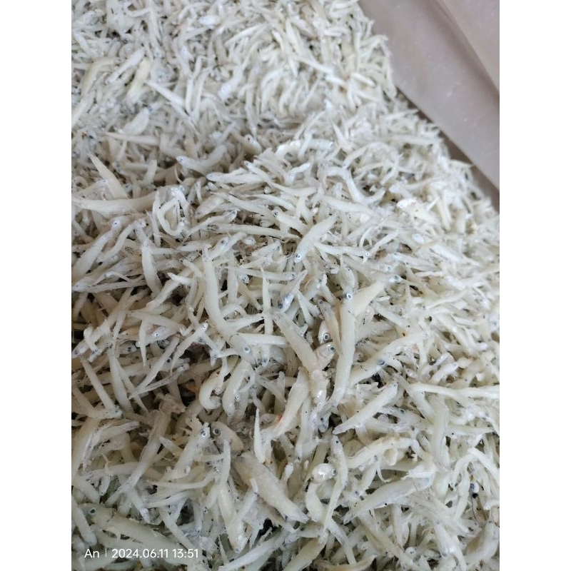 

Teri Nasi Teri Medan grade A
