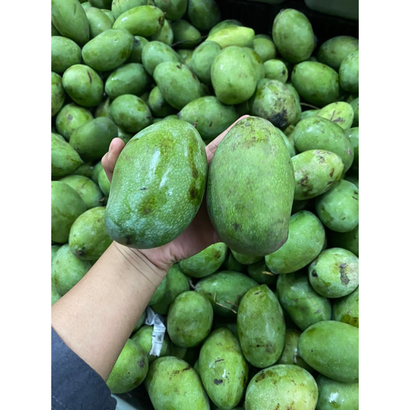 

Mangga manalagi kemasan 1kg