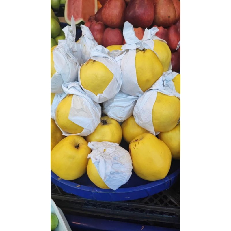 

Buah safarjal / buah quince /buah langka bagus untuk bumil biar anak cakep