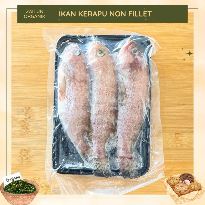 

IKAN KERAPU | IKAN CAKALANG BADAN | IKAN BARONANG | NON TAMBAK | ZAITUN ORGANIK | Ikan segar | Ikan mpasi |