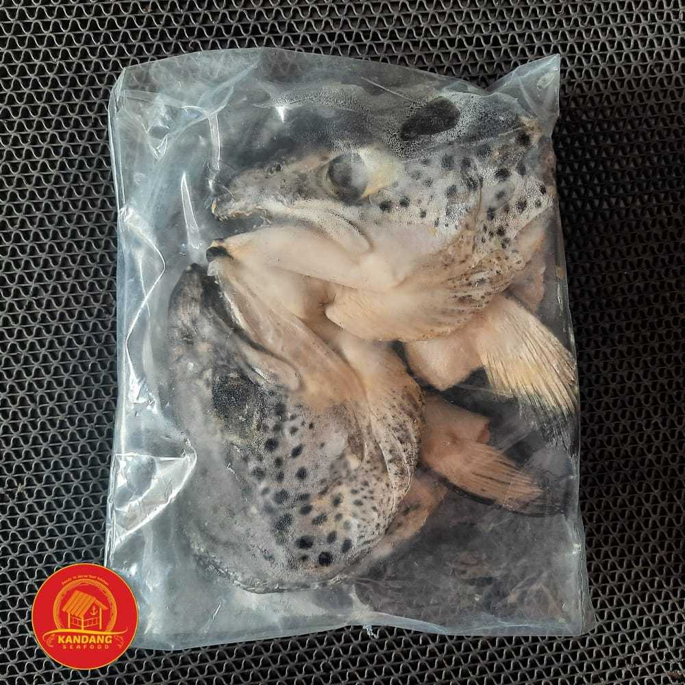 

Salmon Head / Kepala Salmon Belah Fresh