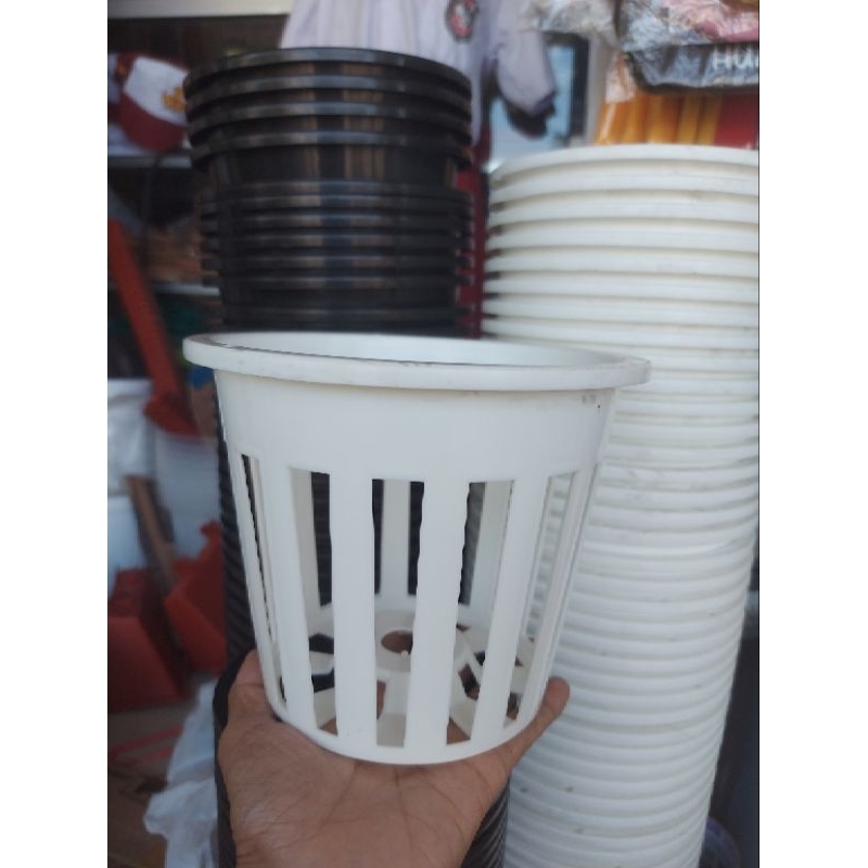 Pot Anggrek 16 GBL Pot Anggrek Vanda Putih