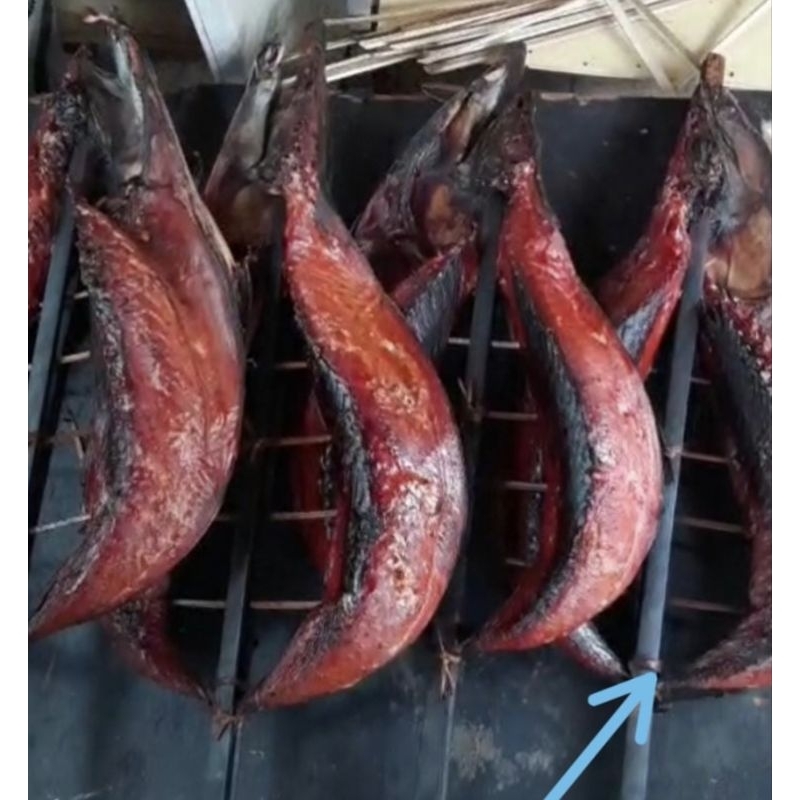 

ikan cakalang