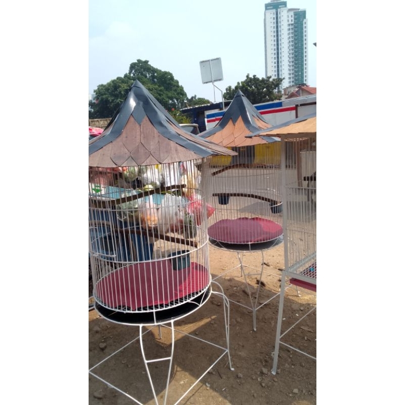 sangkar kandang burung beo jalak nuri ayam Kate dll