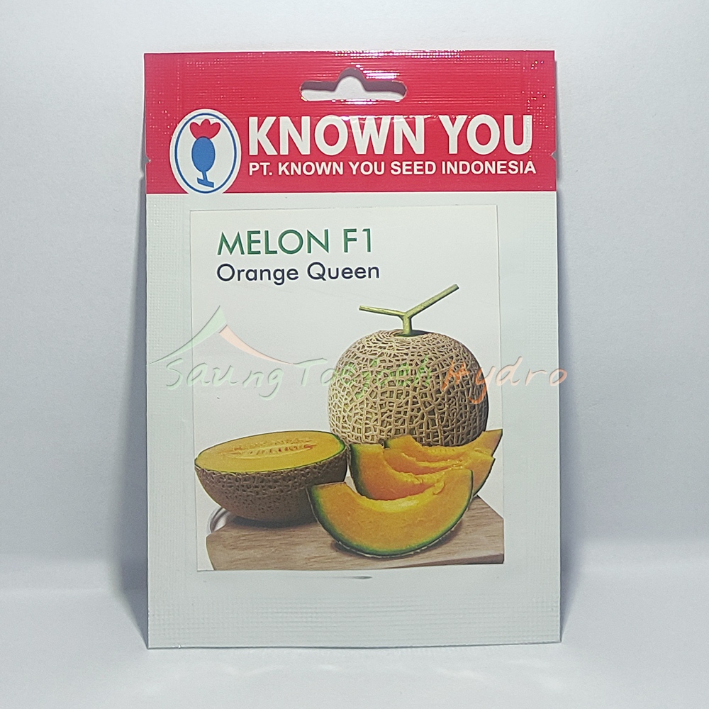 Benih Melon Orange Queen kys known you seed