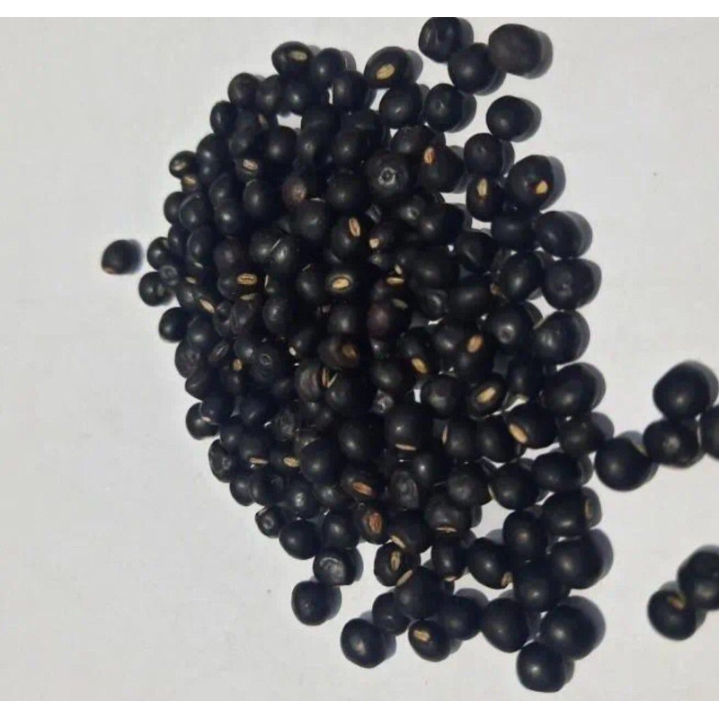 

Gude/Kacang Bali/Kacang kayo Asli Wonogiri(kering) 1kg