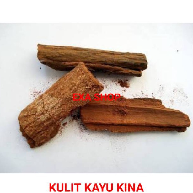 

Produk Ekslusif KULIT KAYU KINA KERING 25 GR