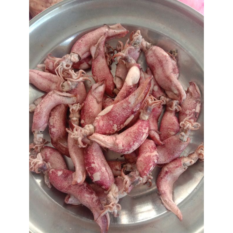 

Cumi asin kering segar ( 500 g )