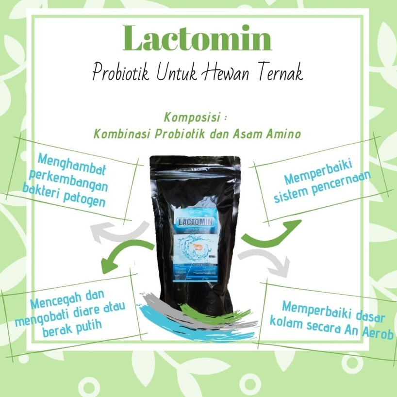 READY STOK] Lactomin Produk Probiotik + asam amino untuk budidaya Udang dan Ikan