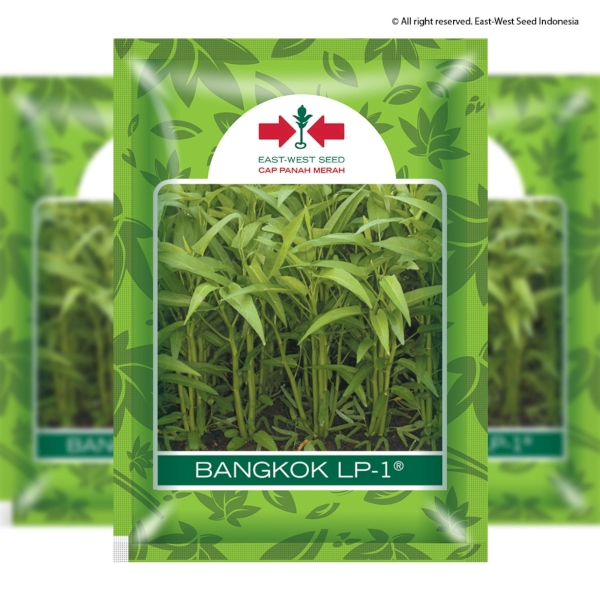 Benih Kangkung Bangkok Cap Panah Merah