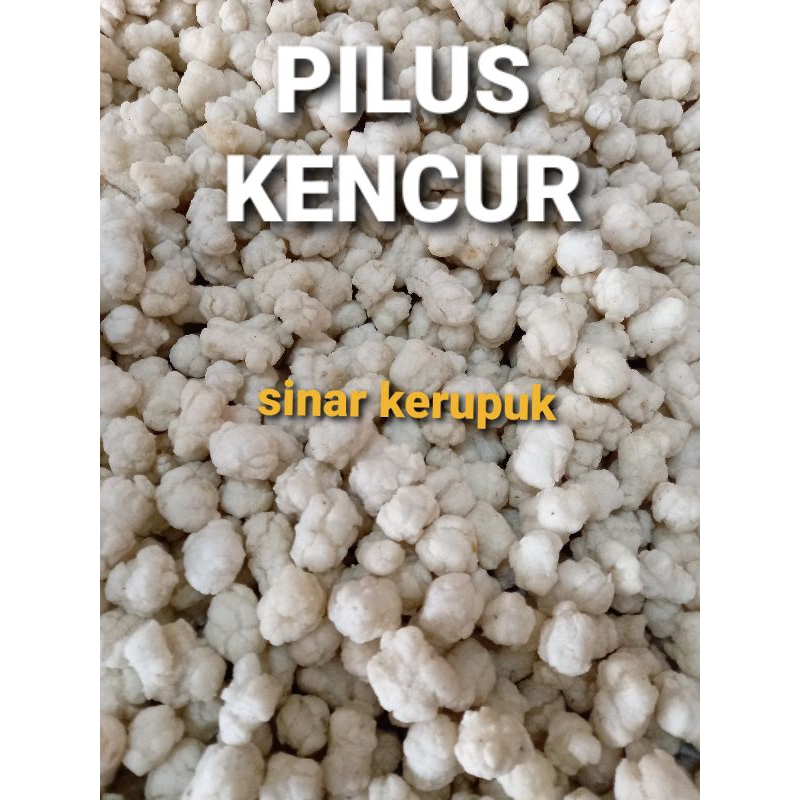 

Pilus cikur 500g bahan seblak rasa kencur