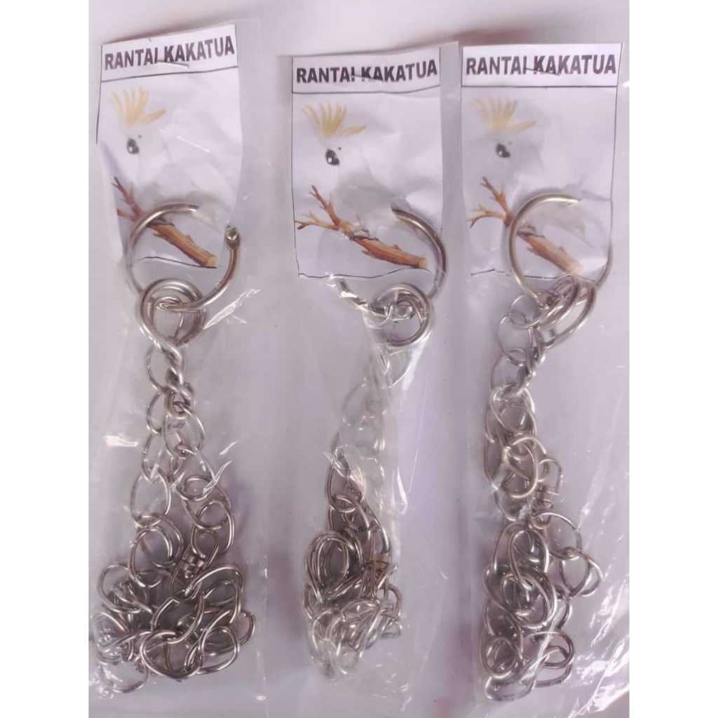 RANTAI BURUNG KAKA TUA