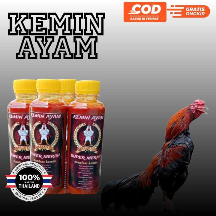 KEMIN AYAM UNTUK AYAM PETARUNG
