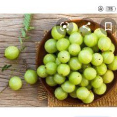 

Pesan disini buah amla atau malaka 1kg