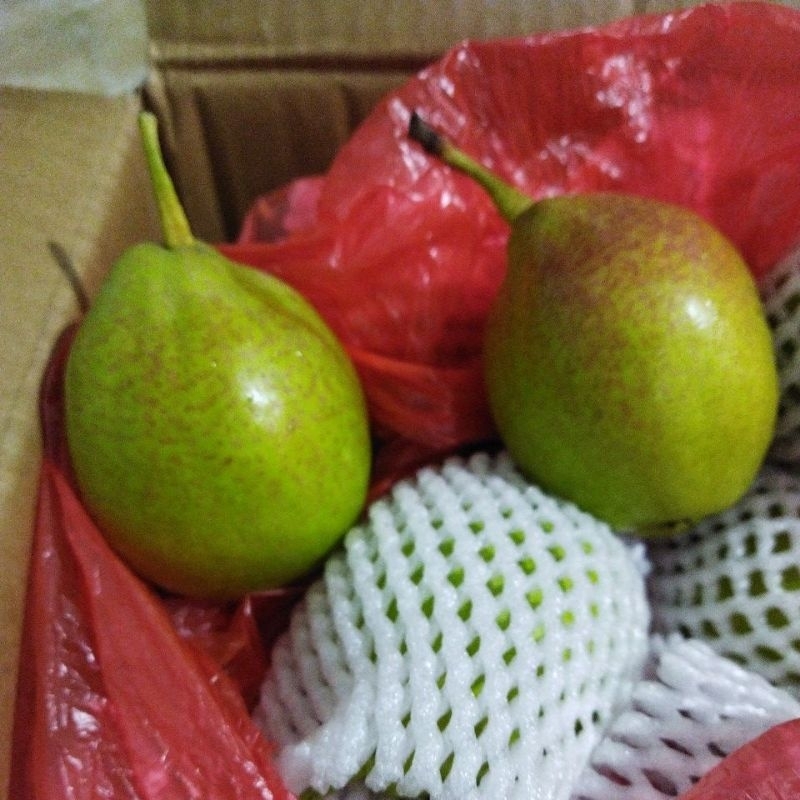 

pear xiang lie segar 1kg