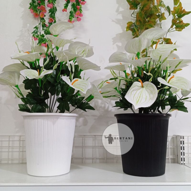 Pot Aster Ukuran 211 Budi Jaya Plastik