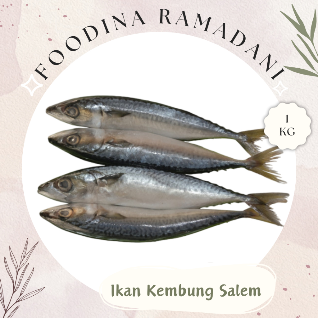 

IKAN KEMBUNG Salem Sarden - Mackerel Fish Fresh [ Berat 1.000gr ] Harga Per KG