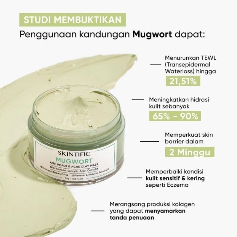 Skintific Alaska Mugwort Clay Mask