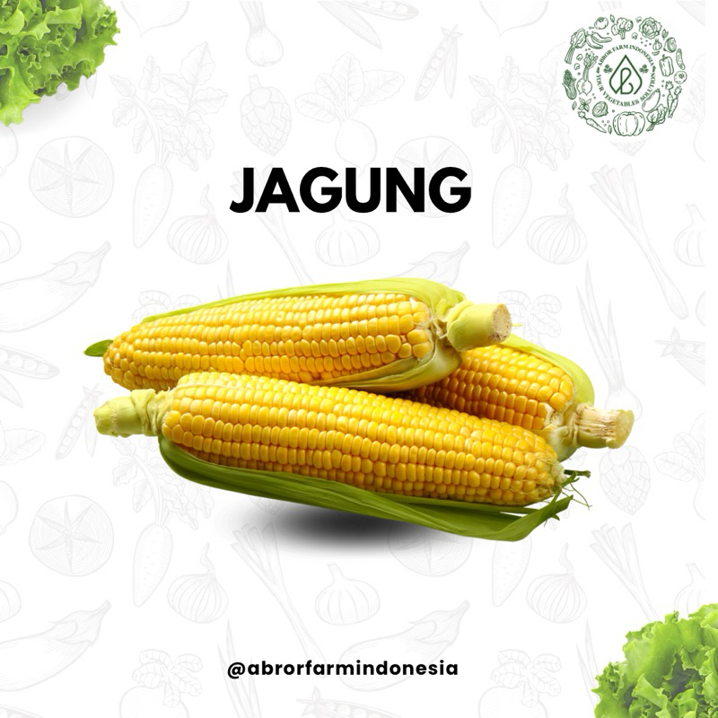 

Jagung