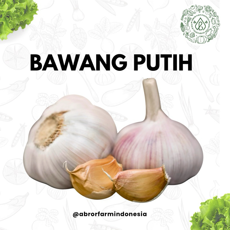 

Bawang Putih