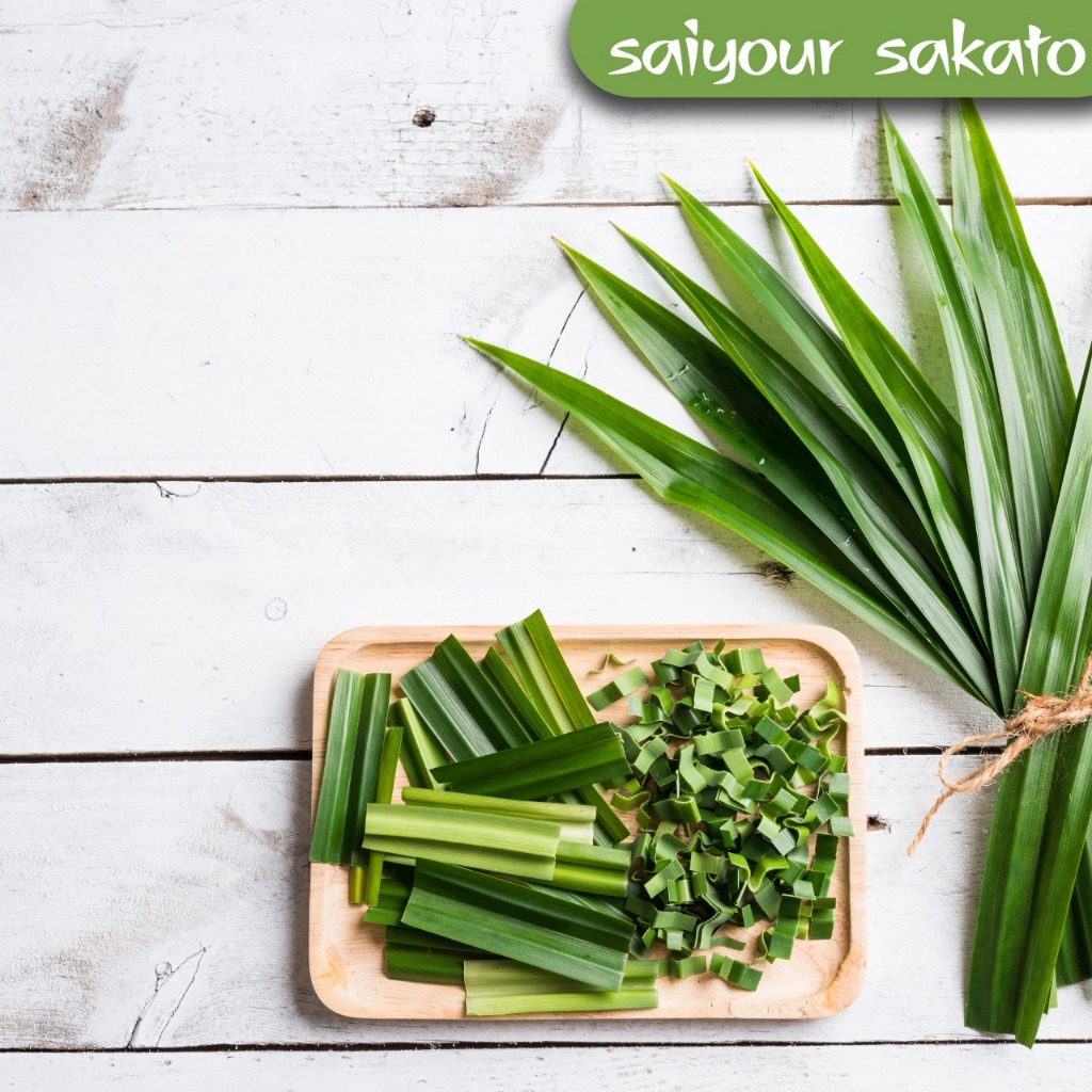 

Daun Pandan Per Ikat - Saiyour Sakato