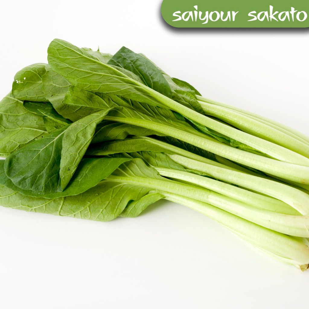 

Sawi Hijau Sayuran Segar Per Ikat - Saiyour Sakato