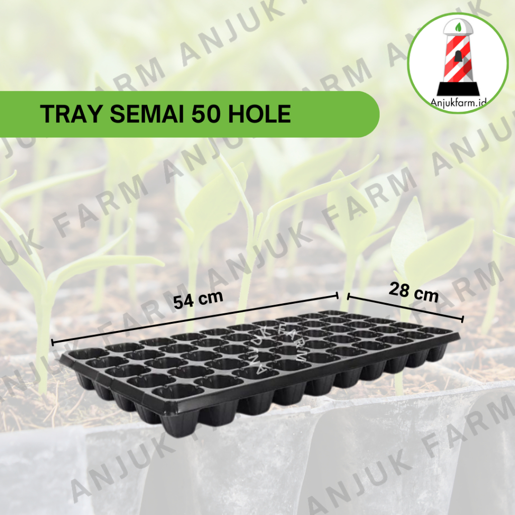 Tray Pot 50 Hole TEBAL / Tray Semai 50 Lubang TEBAL