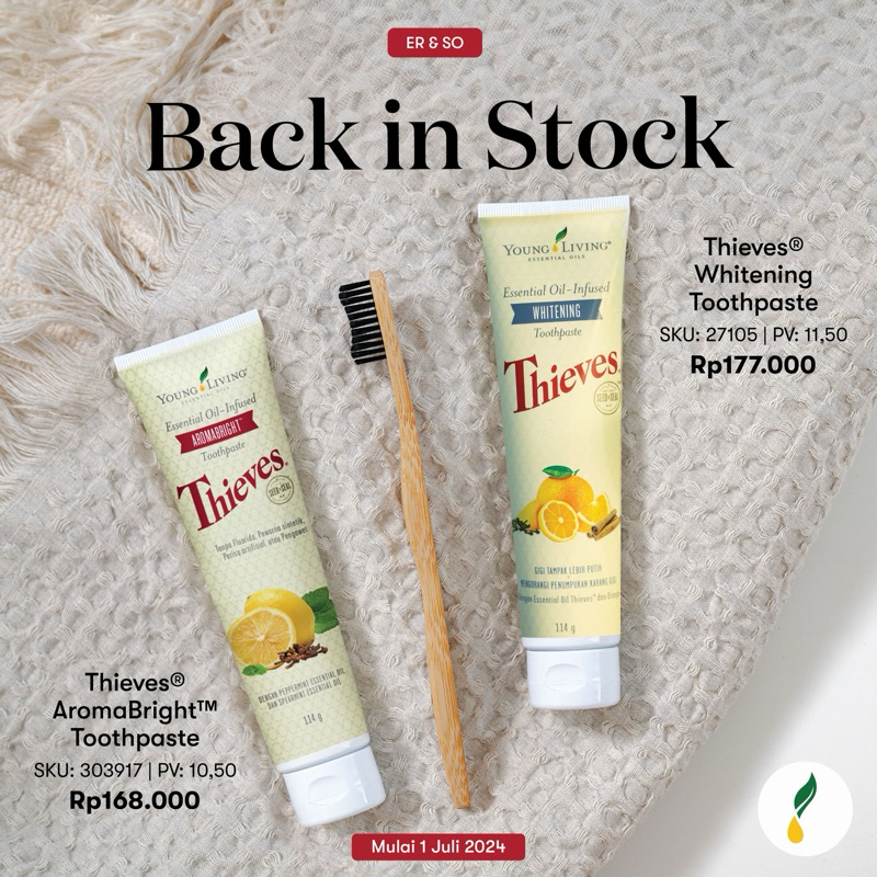 TOOTHPASTE ODOL GIGI THIEVES