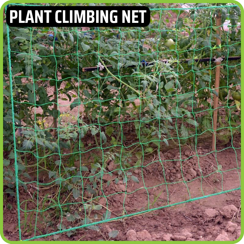 Plant Climbing Net Jaring Rambatan Tanaman