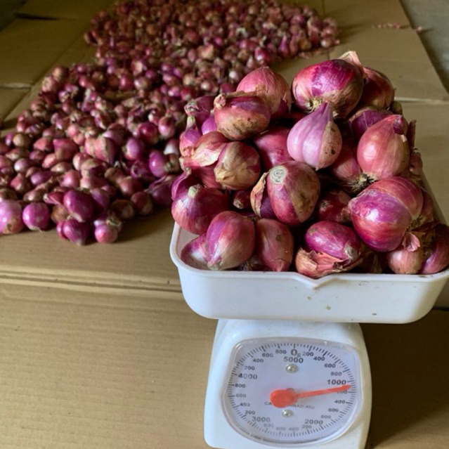 

Bawang Merah Super Isi 1Kg Asli Nganjuk