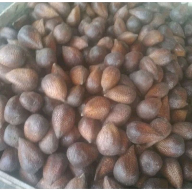 

Buah Salak Pondoh