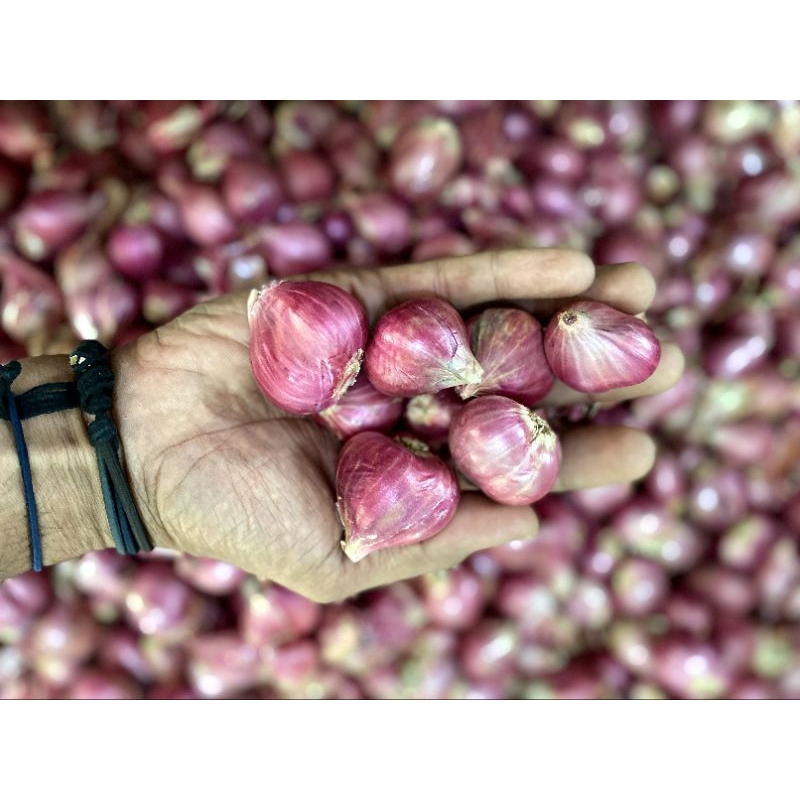 

bawang merah probolinggo Tanggung Besar 1kg