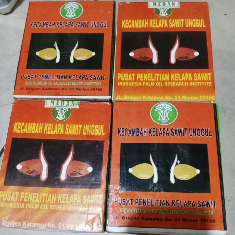 Kecambah Kelapa Sawit Unggul 250butir