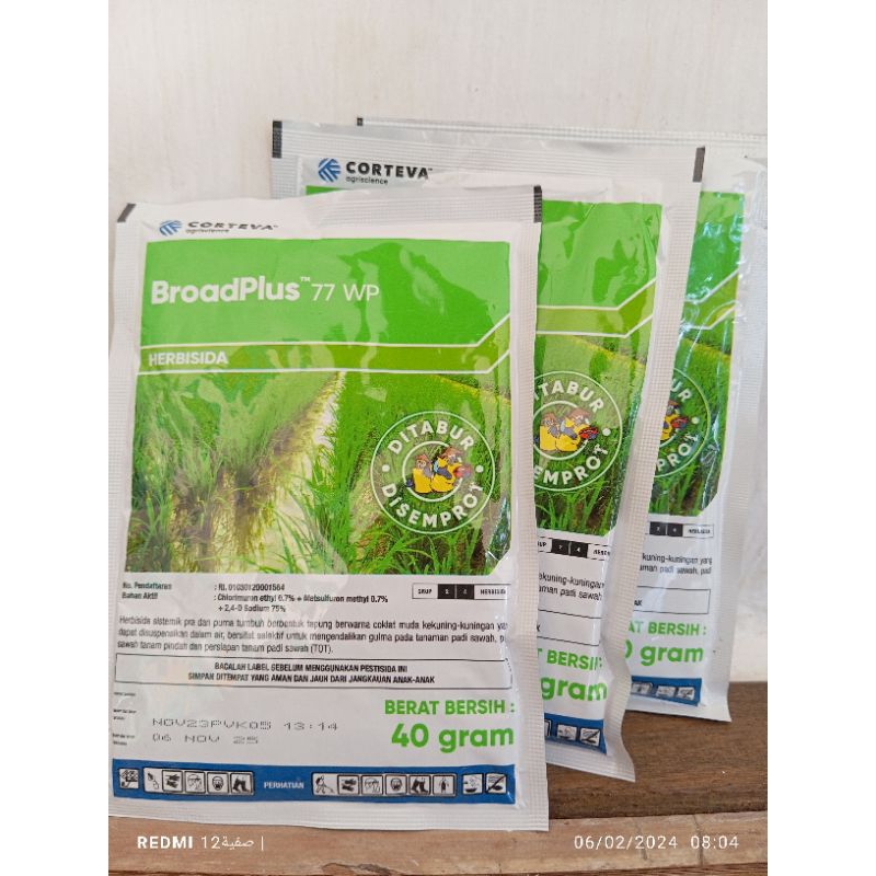 obat pembasmi rumput liar