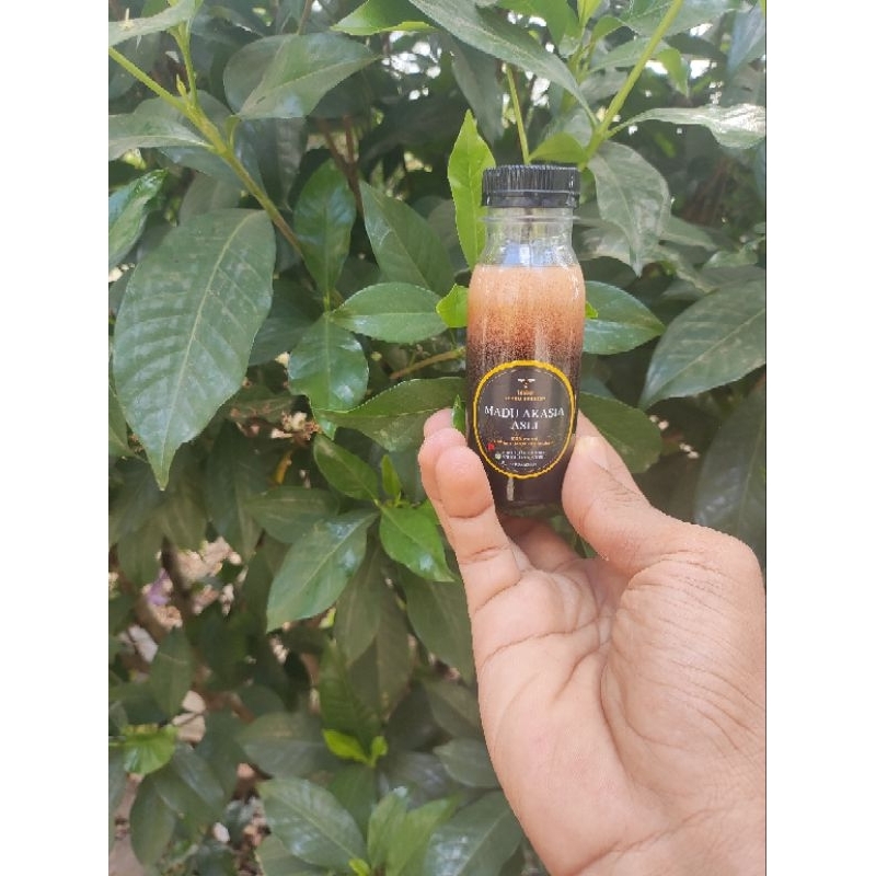 

Tester madu akasia carpa khalifah 100 gram