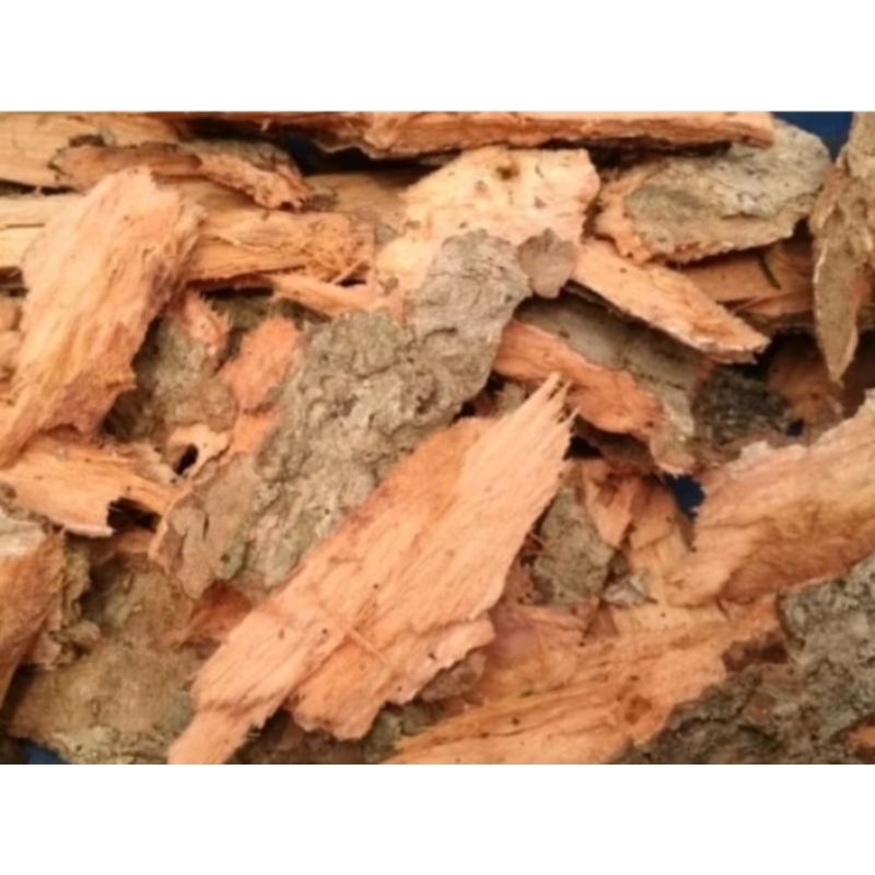 kulit Jamblang fresh segar obat diabetes 1kg