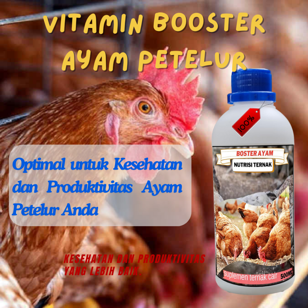 Vitamin Ayam Petelur Vitamin Penyubur Ayam Petelur Boster Ayam Cepat Bertelur Obat Stres AyamPetelur