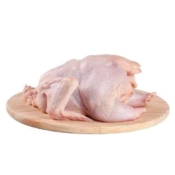 

Ayam Utuh 1 Ekor