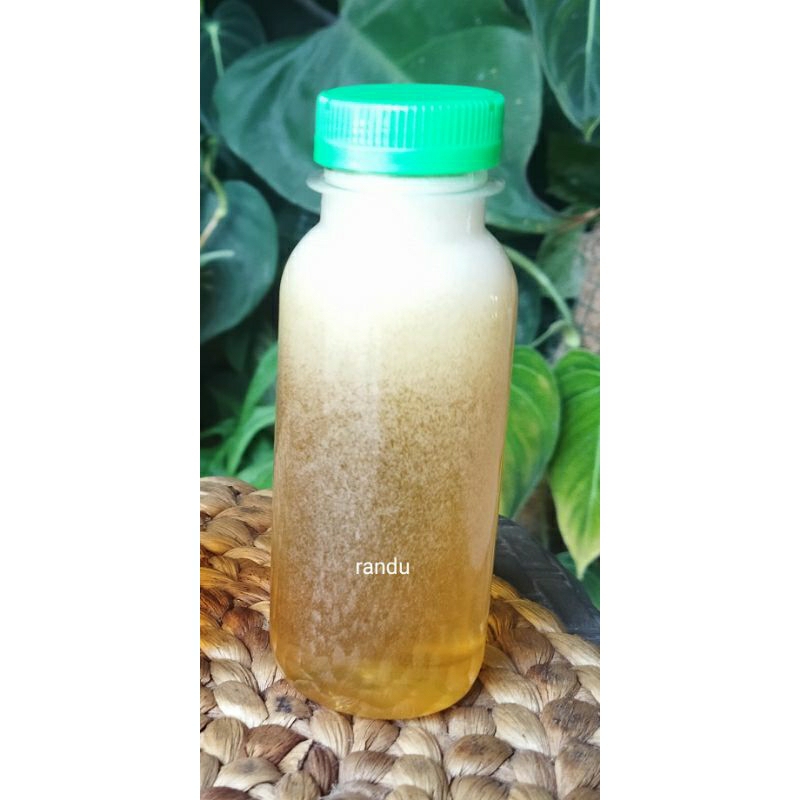 

madu murni randu 100ml