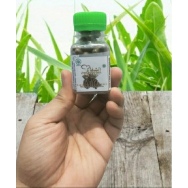 KapsulHerbalAsy-Syifa