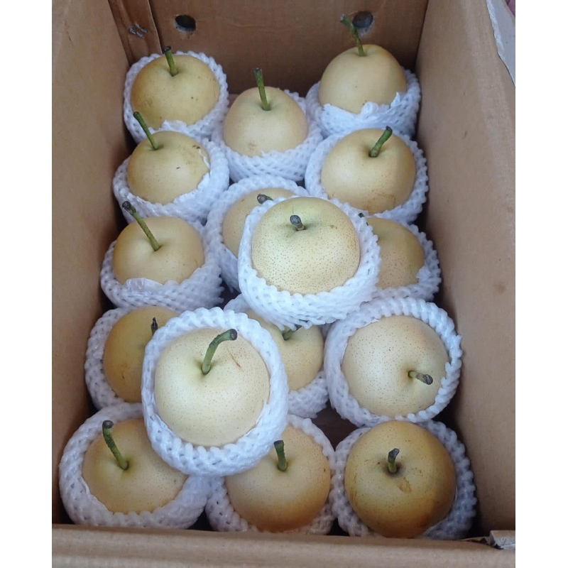 

Pear Century Berat 1 Kg