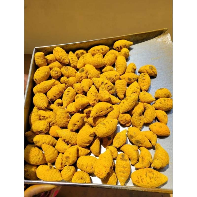 

Biang kunyit kering india/Turmeric core part 100 gr