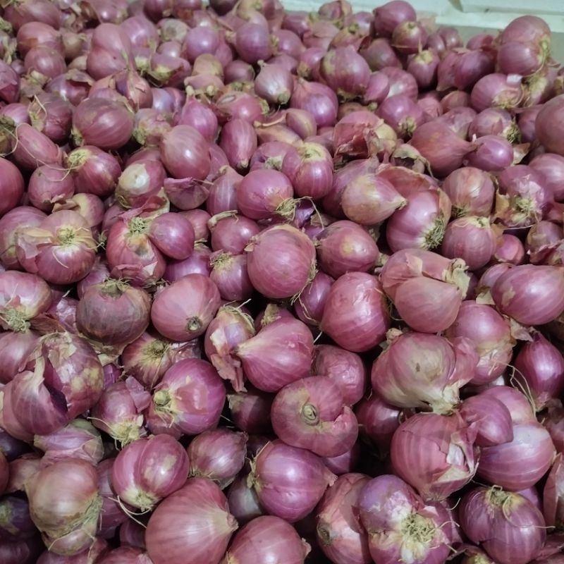 

Bawang jawa